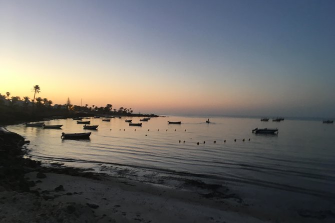 Horseback Riding at Sunrise 3h - Requirements and Recommendations