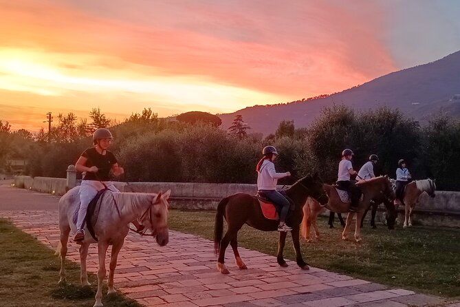 Horseback Riding at Sunset 1 Hour at the Certosa Di Pisa - Frequently Asked Questions
