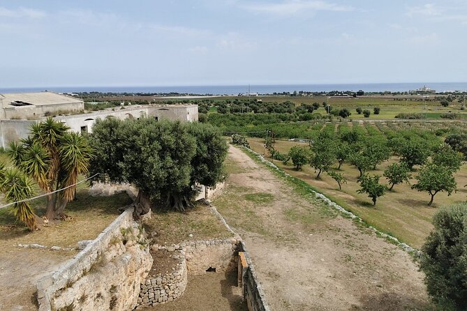 Horseback Riding Through the Apulian Countryside - Payment and Reservation Options