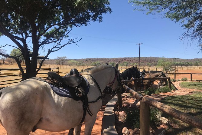 Horseriding Safari Day Tour From Johannesburg - Frequently Asked Questions