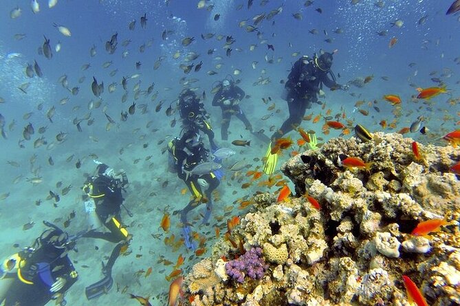 Hurghada Scuba Diving Full Day Boat Trip for Beginners With Lunch & Transfer - Itinerary Details