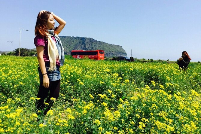 Jeju Island Private Tour - UNESCO Day Tour & Haenyeo Performance - Booking Information