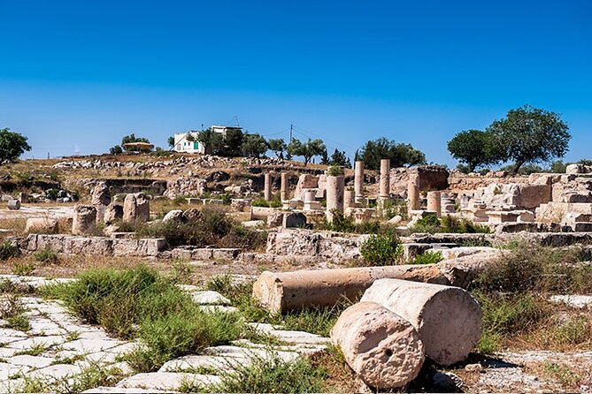 Jerash Half-Day Trip From Dead Sea - Location and Duration