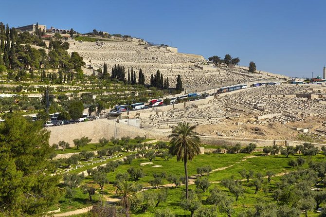 Jerusalem Half-Day Tour From Tel Aviv: Holy Sepulchre and Western Wall - Reviews