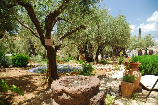 Jerusalem Tour From Tel Aviv: in the Footsteps of Jesus - The Sum Up
