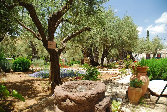 Jerusalem Walking Tour: In the Footsteps of Jesus - Reviews