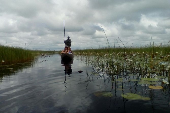 Johannesburg or Gaborone to Maun: 5 Day Rhinos, Diamonds & Okavango Delta Tour - Customer Reviews