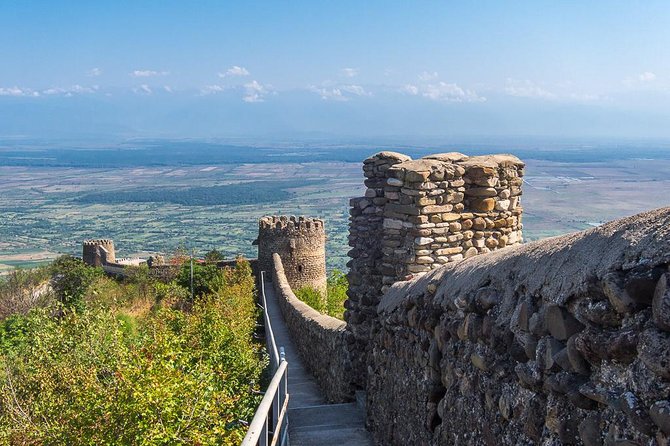 Kakheti-Wine Region Full-Day Superior Private Guided Tour & Organic Wine Tasting - Customer Reviews
