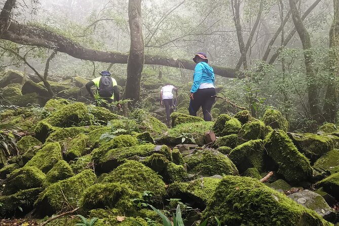 Karkloof 6 Waterfalls Hiking Trip - Additional Terms and Conditions