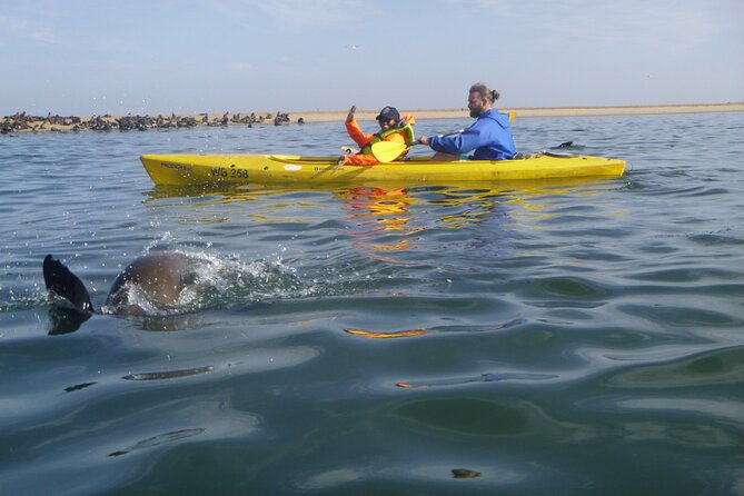 Kayak Sand Combo - Frequently Asked Questions