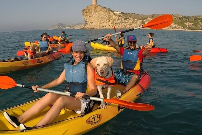 Kayaking With Dogs - What to Bring for Your Pet