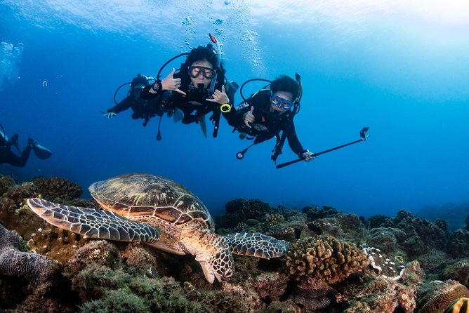 Kenting, Taiwan｜PADI Basic Diving License Course｜Taiwan Diving Open Water Course - Reviews and Ratings