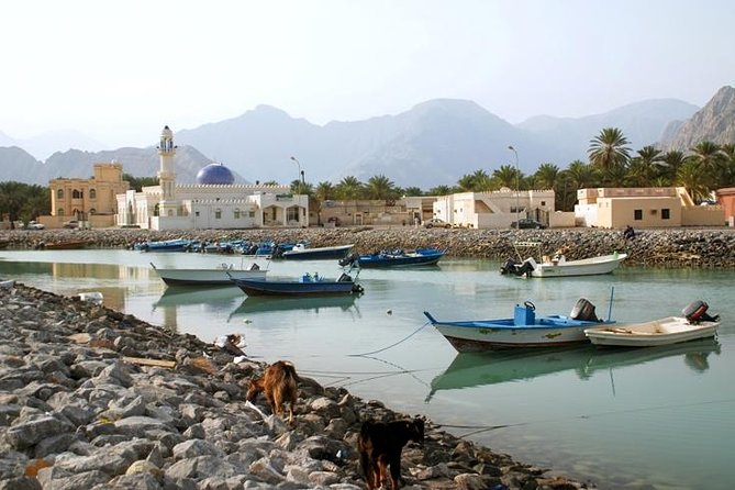 Khasab City Tour - Cancellation Policy
