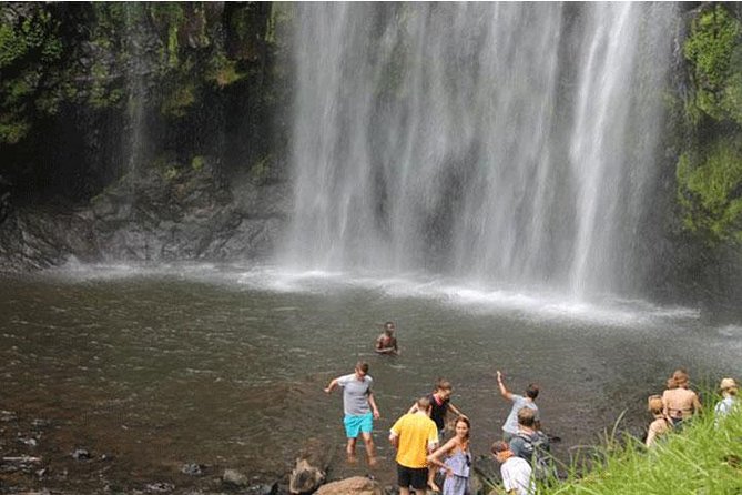 Kikuletwa (Chemka) Hot Springs Day Tour - Special Requests