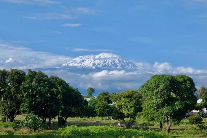Kikuletwa Hotsprings/ Hot Springs Day Trip - Booking Information and Pricing