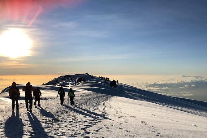 Kilimanjaro Climb - 7 Days Machame Route - Day 7: Summit Day & Descent to Mweka Camp