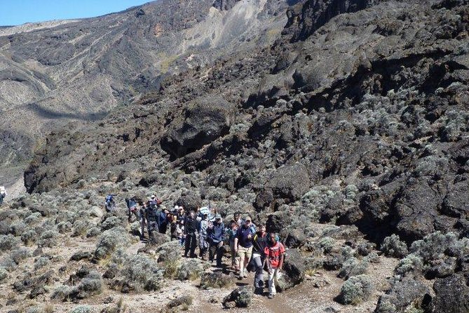 Kilimanjaro Climbing - 6 Day Machame Route - Reviews and Ratings