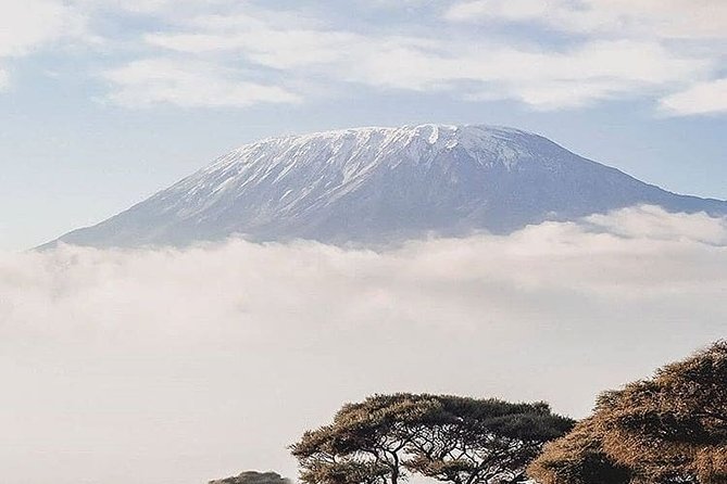 Kilimanjaro Day Hike. - Hiking Route