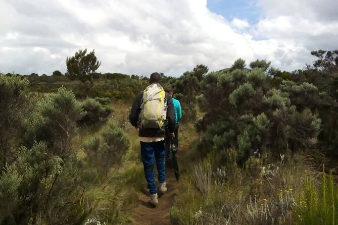 Kilimanjaro National Park Day Trip - Price and Booking Information