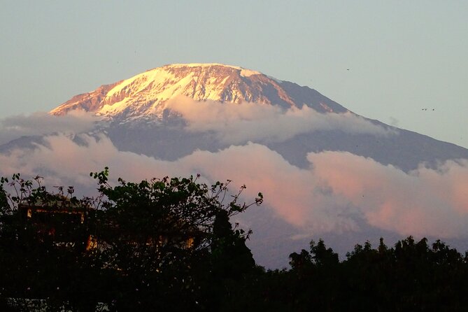 Kilimanjaro Shira Plateau Bike Day Trip - Meeting and Pickup Information