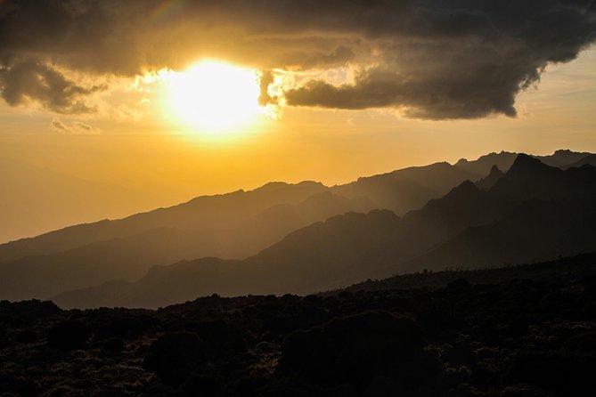 Kilimanjaro Shira Plateau Day Hike - Guide Information