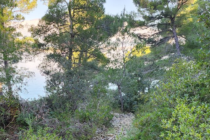 Korčula Wild Beach Early Morning Swim - Start Time