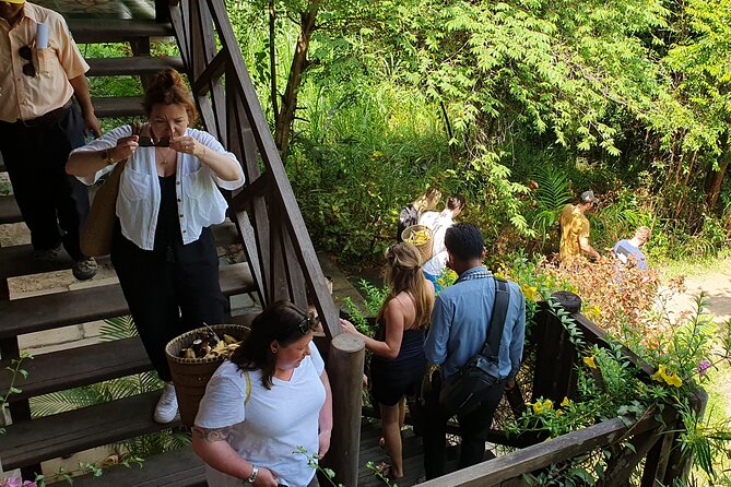 Kulen Elephant Forest & Kampong Phluk by Private Tour - Reviews