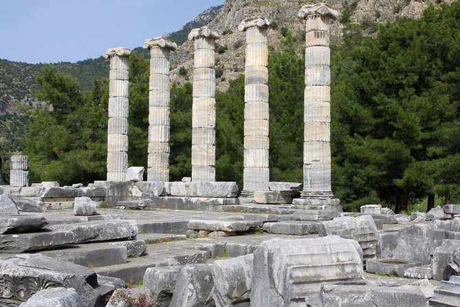 Kusadasi Port to Ephesus, Terrace Houses, Selcuk Museum, Temple of Artemis - Additional Tips