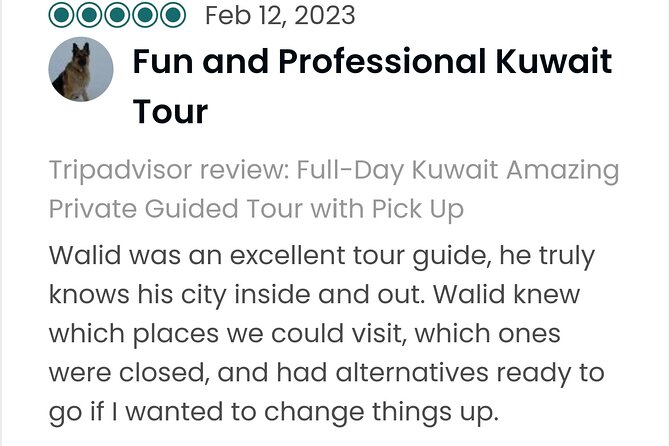 Kuwait Desert & City Half Day Private Tour Local Licensed Guide - Guide Experiences
