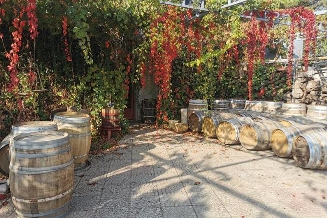 Lebanon Wine Tasting Tour From Beirut - Additional Information