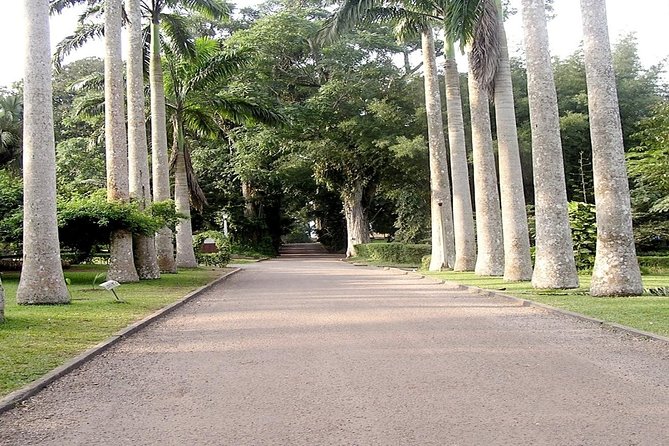 Legon & Aburi Gardens Tour