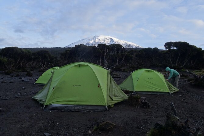 Lemosho Route Seven Days - Safety and Health Considerations