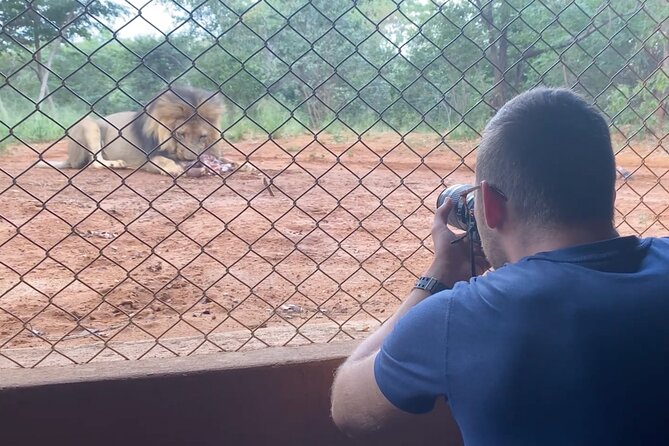 Lion & Wildlife Sanctuary Excursion Victoria Falls - Weather & Booking Information