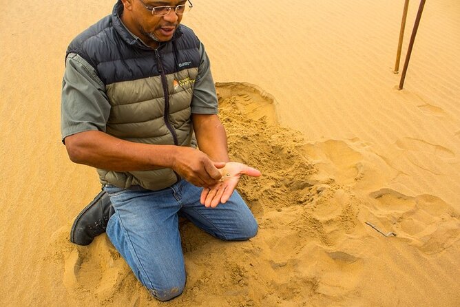 LIVING DESERT TOUR (Little 5 Tour) - Directions and Booking