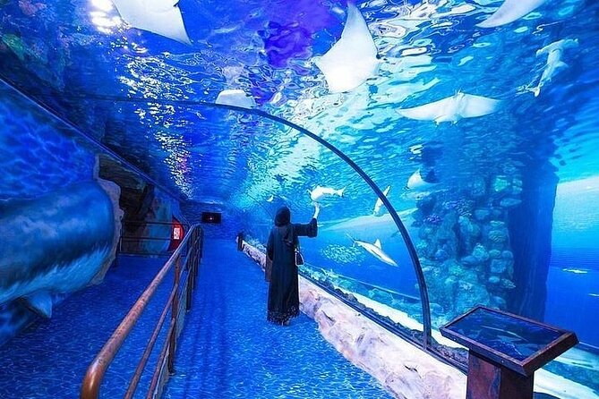 Lost Chamber Aquarium Entry Ticket With Private Transfer in Dubai - Additional Information