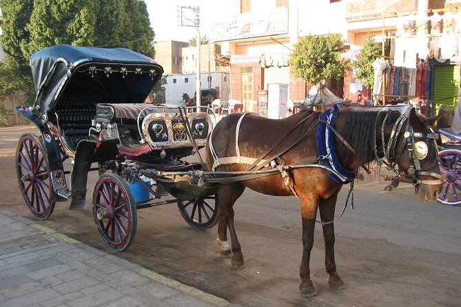 Luxor City Horse Carriage Tour: Dine and Discover - Frequently Asked Questions
