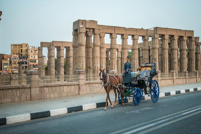 Luxor City Tour by Horse Carriage One-Hour Exploration - Additional Information