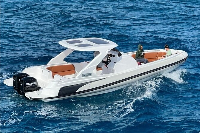 Luxurious Private Speedboat Tour With Dolphin Watching - Customer Reviews