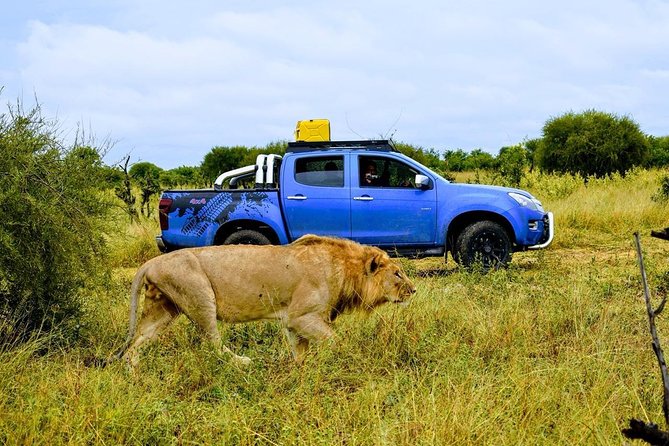 Luxury Okavango Safari - 3 Day - The Sum Up