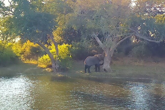 Luxury Sunset Boat Safari Above the Victoria Falls - Frequently Asked Questions