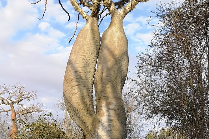 Madagascar Wildlife Tour 14D/13N - Frequently Asked Questions