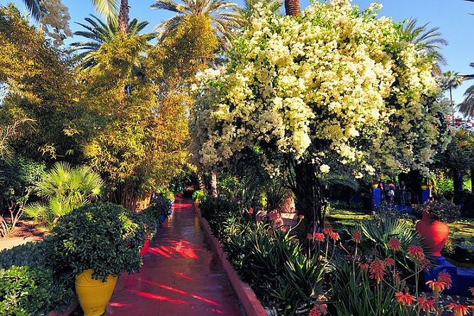 Majorelle and Menara Gardens With Palmeraie Camel Riding Marrakech - Pricing Details