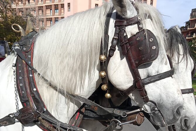 Majorelle-Menara Garden & the Yves Saint Laurent Museum Horse Carriage Tours - Pricing Details
