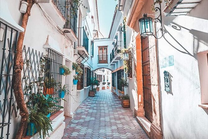Malaga Private Shore Excursion to Marbella and Puerto Banus - Meeting Information