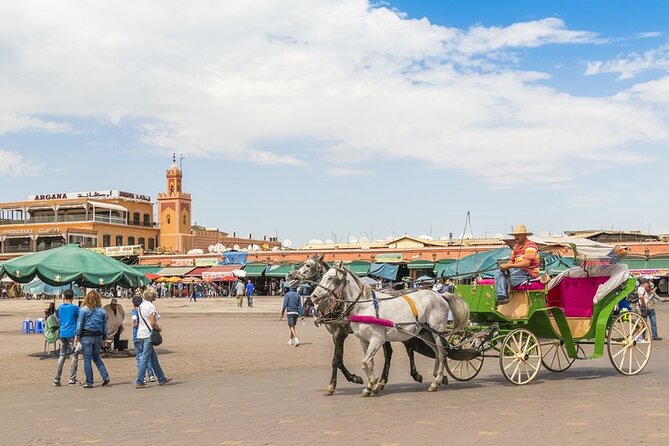 Marrakech Day Trip With Camel Ride - Booking Information