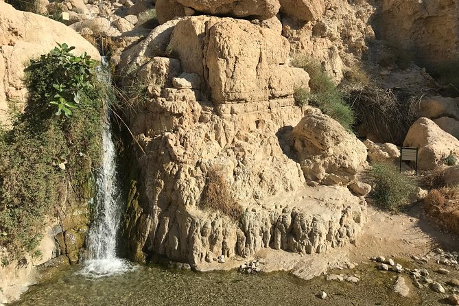 Masada, Ein Gedi and the Dead Sea From Jerusalem - Traveler Feedback