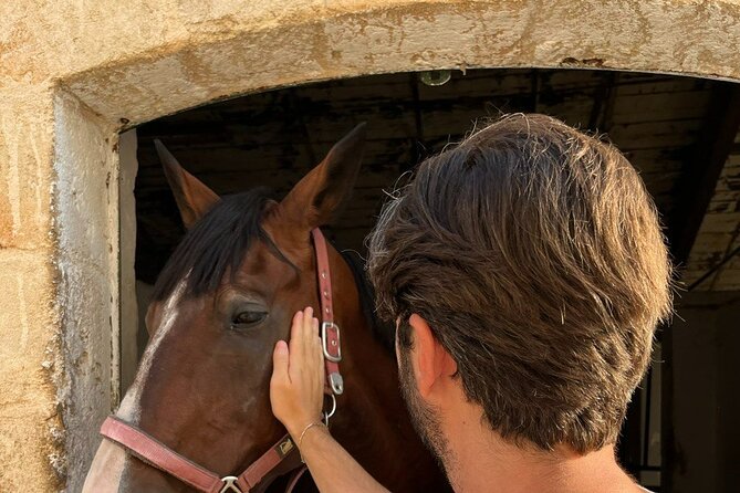 Matera: Sunset Horse Backriding Tour on Murgia Park - Participant Requirements and Limitations