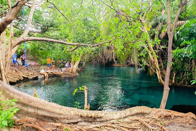 Materuni Waterfalls, Coffee Tour and Hot Springs - Meeting and Pickup Details