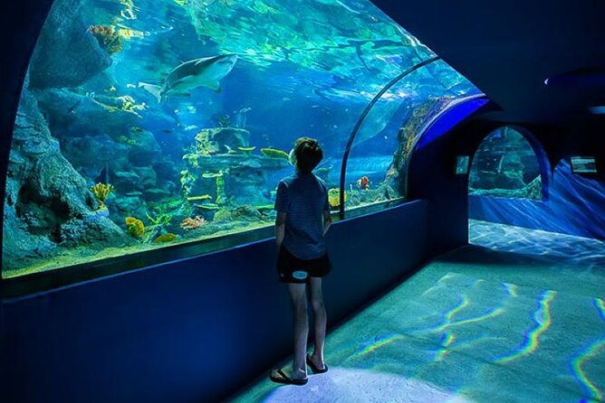 Mauritius Odysseo Oceanarium in Port Louis - Accessibility and Participation