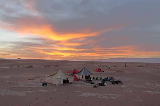 Méhari Trip in the Desert From M'hamid - Cancellation Policy